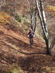 bellissimo single track nel bosco sopra Celle