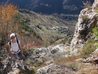 camoglieres