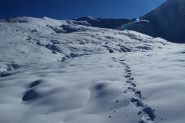salendo verso il colletto di quota 2380 m. (13-11-2011)