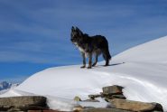 Frank al Col Fetita, in posizione dominante