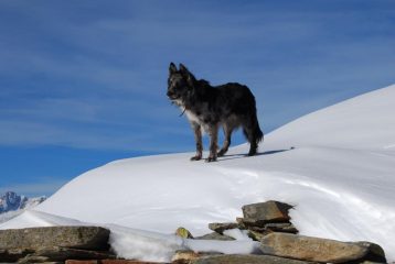 Frank al Col Fetita, in posizione dominante