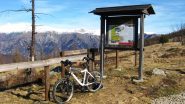 Al colle
