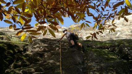 Dany all'attacco di L3 4c