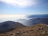 velature in pianura