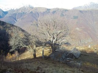 Alpe Marmazzuolo Fuori