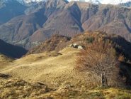 Alpe Broni