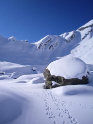 sotto il colle su tracce di animali...