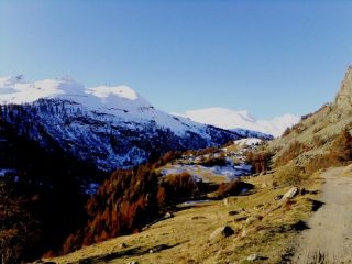dalla stradina