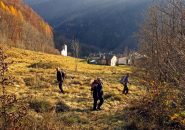 Fuori dai guai-arrivo a Roncobogno