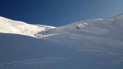 ancora molto da arare..