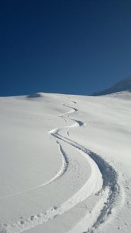 curve..