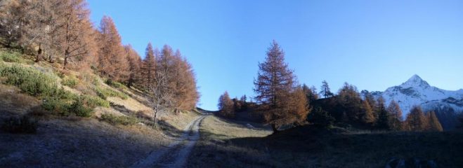 sulla poderale coi colori autunnali ...