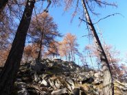 02 - Vista dall'alto sulla B.Tiraculo