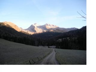 Il M.Ferrante e il Ferrrantino.. dalle Stalle Moschel