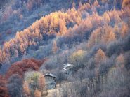 ancora dei bei colori