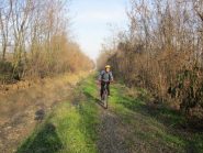 costeggiando il canale di Villareggia