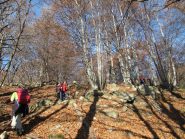 Nella faggeta sotto il pianoro