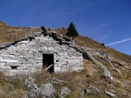 Il pino prima della deviazione
