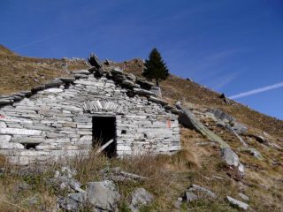 Il pino prima della deviazione