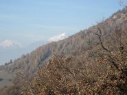 Rocciamelone sullo sfondo