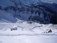 in discesa lo stambecco solitario...