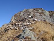 Cima Cornabecco o Gemèvola