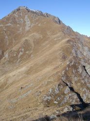 Dalla punta Camosce