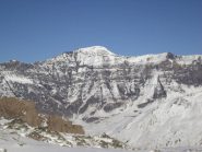 la ragnatela mi sa che bisogna aspettare