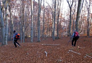 Discesa verso le case Picat