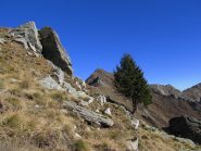 L'uja di Ingria dalla Bocchetta