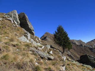 L'uja di Ingria dalla Bocchetta
