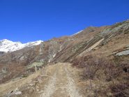 Nel cuore del vallone