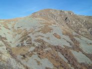 tutta la bella dorsale del gregorio