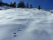 Facile fare la traccia pesando meno di 20kg scarpe e zaino compresi!