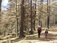 Prima parte della gita nel bel bosco delle Navette, purtroppo siamo un po' in ritardo sulla miglior doratura dei larici, ma è bellisssimo ugualmente