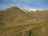 La quinzeina vista dal Pias