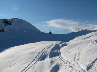 Dal Fauniera....