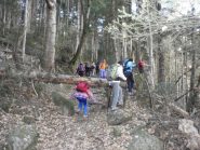 nel bosco alla partenza