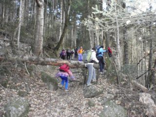 nel bosco alla partenza