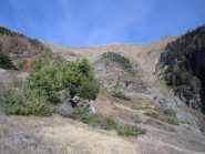 l'ambiente verso  la punta Liconi...