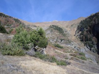 l'ambiente verso  la punta Liconi...