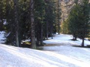 Neve dura ma ben sciabile