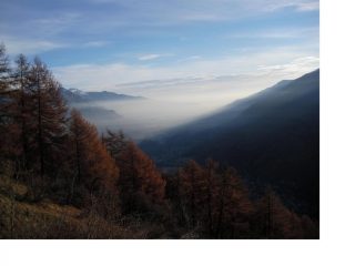 NON E' PROPRIO LIMPIDO