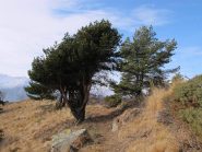 Arrivando al Mont de Beuby