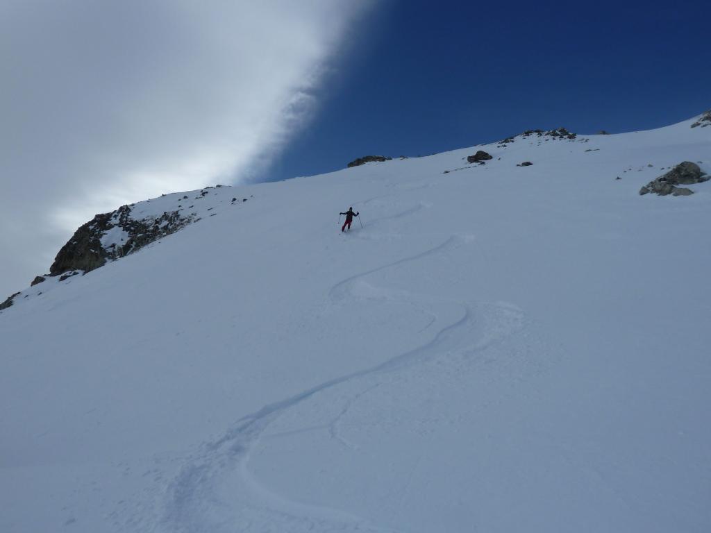 Prime curve in farina