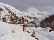 la punta vista da lontano