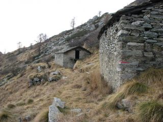 L'Alpe Nuovo
