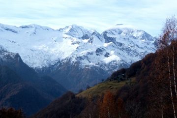 i pascoli e la frazione Tea