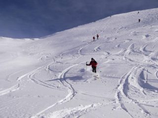 farina inattesa..