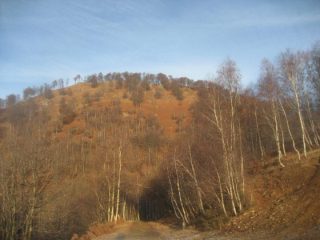 la sommità del monte Tovo